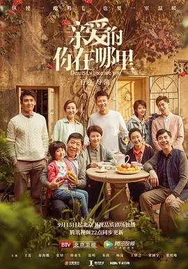 《亲爱的，你在哪里》：一场关于爱与寻找的公路史诗，生命中的不期而遇与深刻羁绊