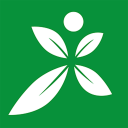 婚庆技巧
